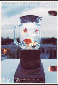 奢侈的骨 奢侈的骨