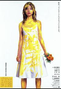 东京金盏花 东京金盏花