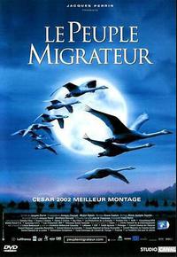 迁徙的鸟 迁徙的鸟