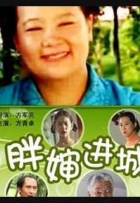胖婶进城