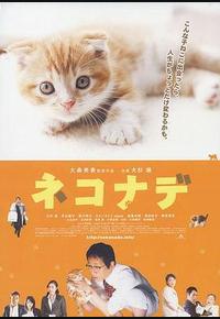 小猫奇缘 小猫奇缘