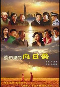 葵花进城