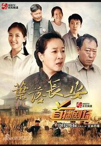 叶落长安