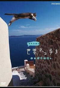 岩合光昭的猫步走世界