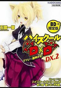恶魔高校D×D BorN OAD 恶魔高校D×D BorN OAD