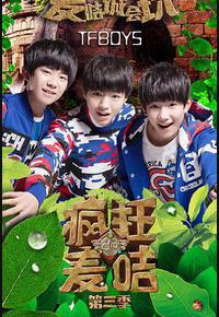 疯狂的麦咭 第三季 疯狂的麦咭 第三季