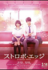 闪烁的爱情 闪烁的爱情