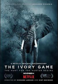 象牙游戏 象牙游戏