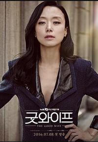 傲骨贤妻 傲骨贤妻