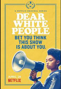 亲爱的白种人 第一季