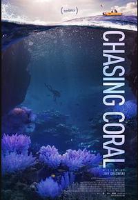 追逐珊瑚 追逐珊瑚