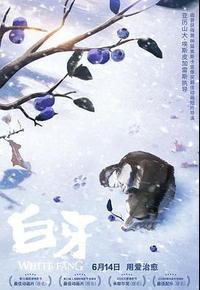 白牙