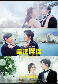 合法伴侣 合法伴侣