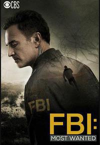 联邦调查局：通缉要犯 第一季