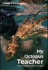 我的章鱼老师 我的章鱼老师