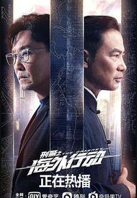 刑警之海外行动