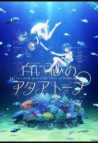 白砂的水族馆 白砂的水族馆