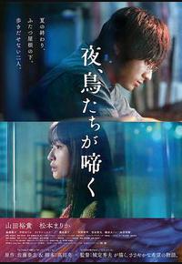 夜鸟啼鸣 夜鸟啼鸣