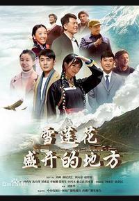 雪莲花盛开的地方