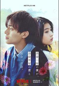 余生一年的我，遇见了余生半年的你的故事