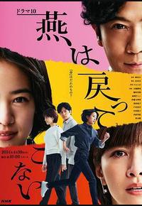 燕子不再归来