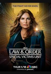 法律与秩序：特殊受害者 第二十五季