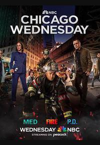 芝加哥急救 第十季 芝加哥急救 第十季