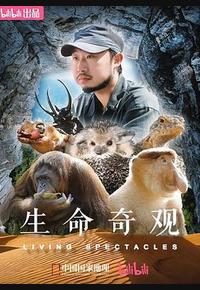 生命奇观