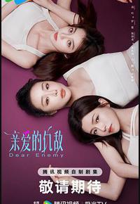 亲爱的仇敌 亲爱的仇敌