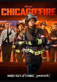 芝加哥烈焰 第十四季