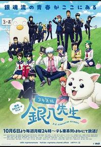 3年Z组银八老师