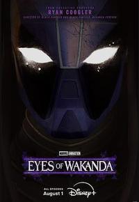 瓦坎达之眼 瓦坎达之眼