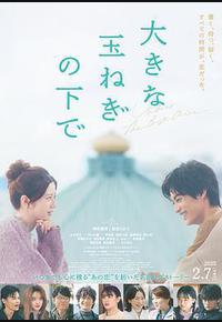 在巨大的洋葱之下